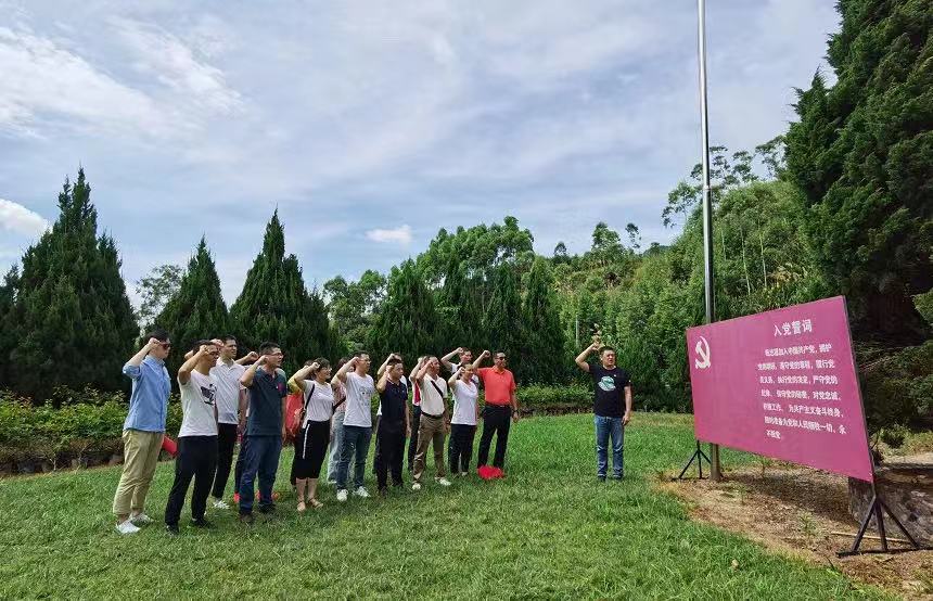 巅峰国际官网-不凡成就非凡,相信品牌力量